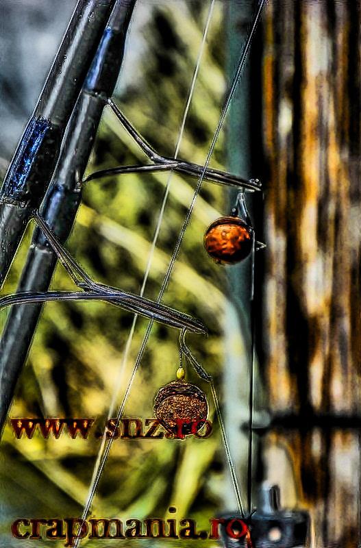 Debutmania - 2013 (2) - 1030422hdrmode2.JPG